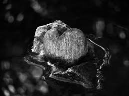 stone heart in a flowing river